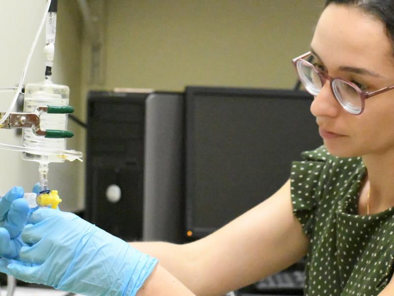 Paula Nieto-Morales, estudiante de doctorado en la Facultad de Medicina de Florida State University, trabaja en el laboratorio del Dr. José Pinto, profesor de ciencias biomédicas. (Foto cortesía de Paula Nieto-Morales)